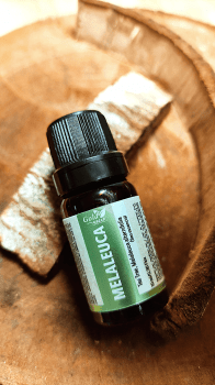 Óleo Essencial de Melaleuca - 30Ml